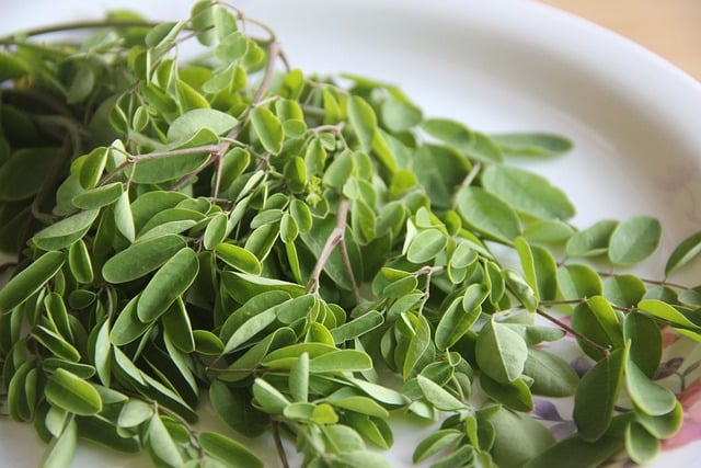 Moringa Leaf Benefits